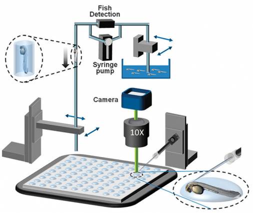 MIT RNA Screen 02