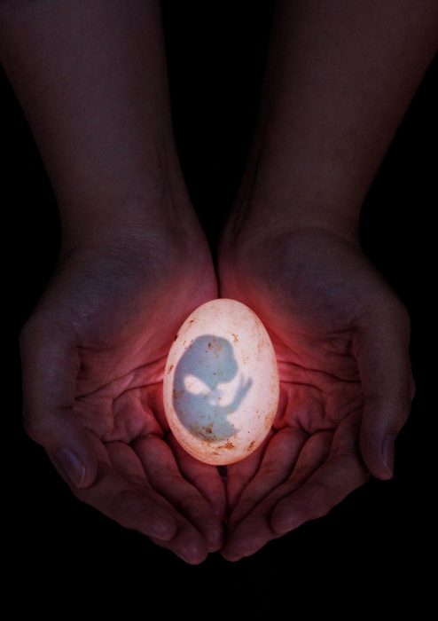 The Best Biology Photos of…