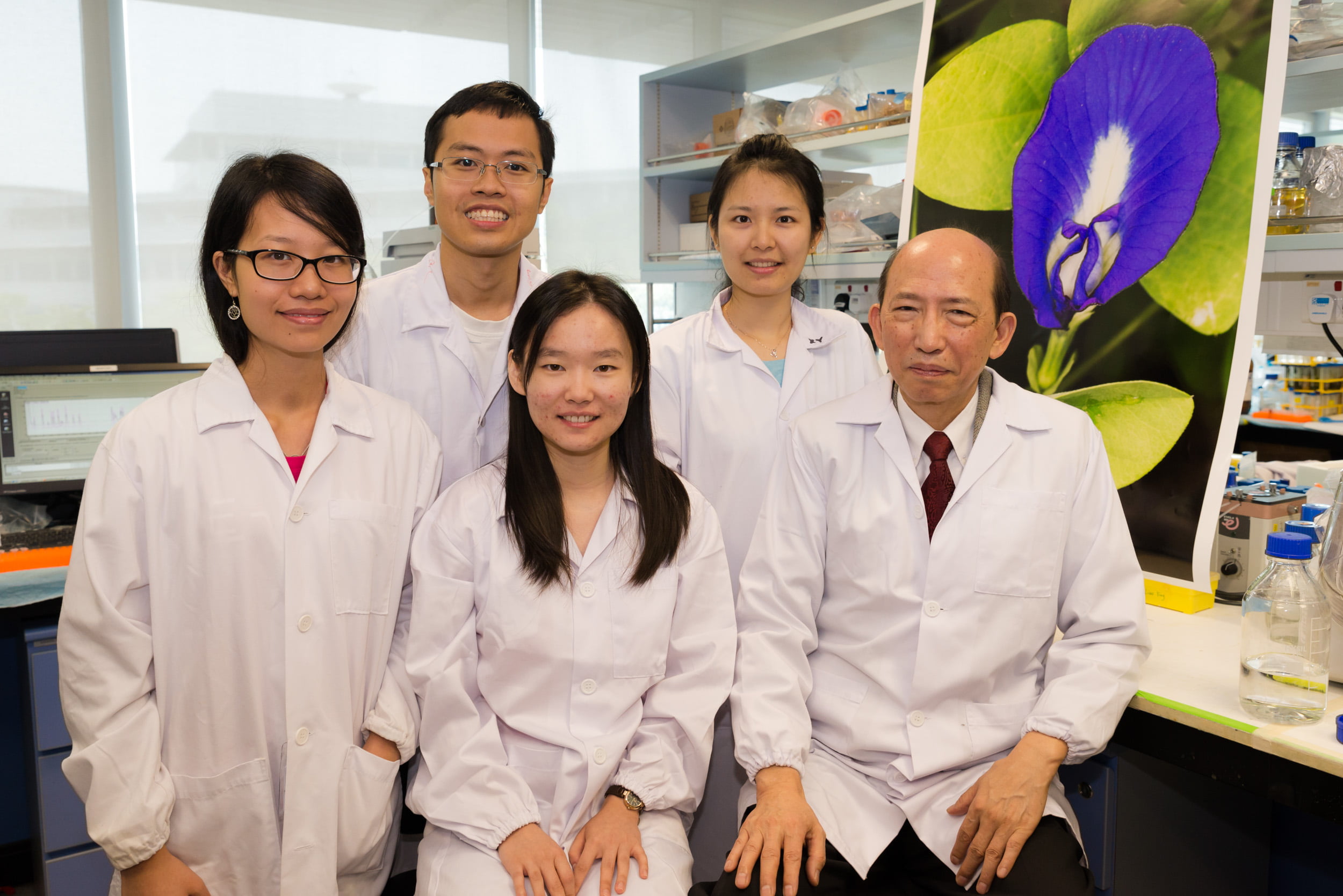 ​NTU scientists discover new molecule from local herb