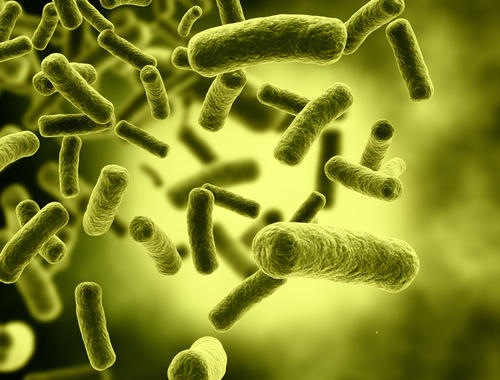 New Protein Could Become Therapy…