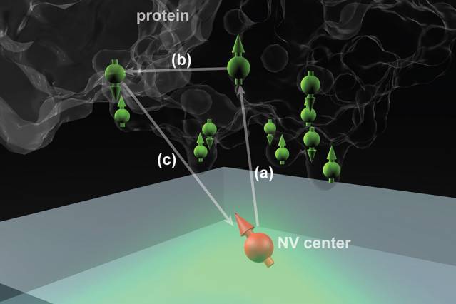 Nitrogen vacancy (NV) centers in diamond could potentially determine the structure of single protein molecules at room temperature. Here the NV center is 2 to 3 nanometers below the surface, and the protein molecule is placed above it.