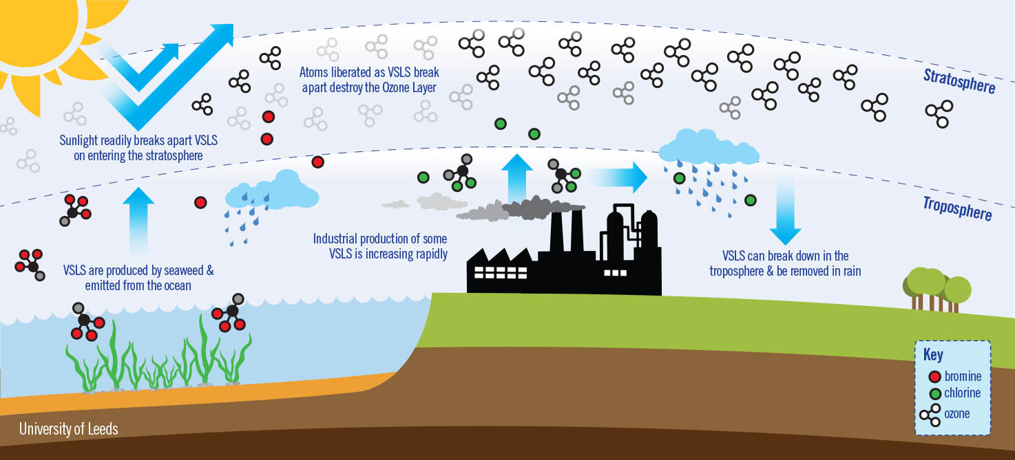 New ozone-destroying gases on the rise