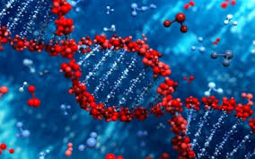 Cancer Risk Linked to DNA ‘Wormholes’
