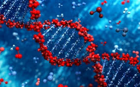 Cancer Risk Linked to DNA&hellip;