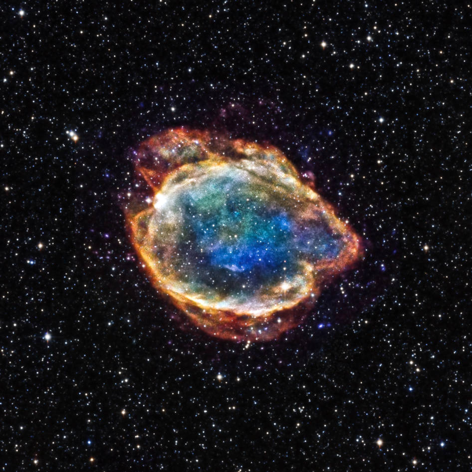 Exploded Star Blooms Like a Cosmic Flower