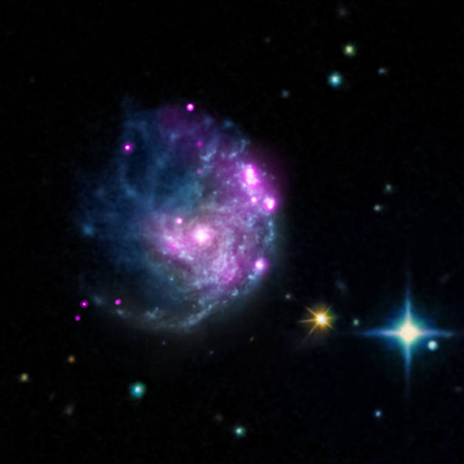 NASA’s Chandra Finds Intriguing Member of Black Hole Family Tree