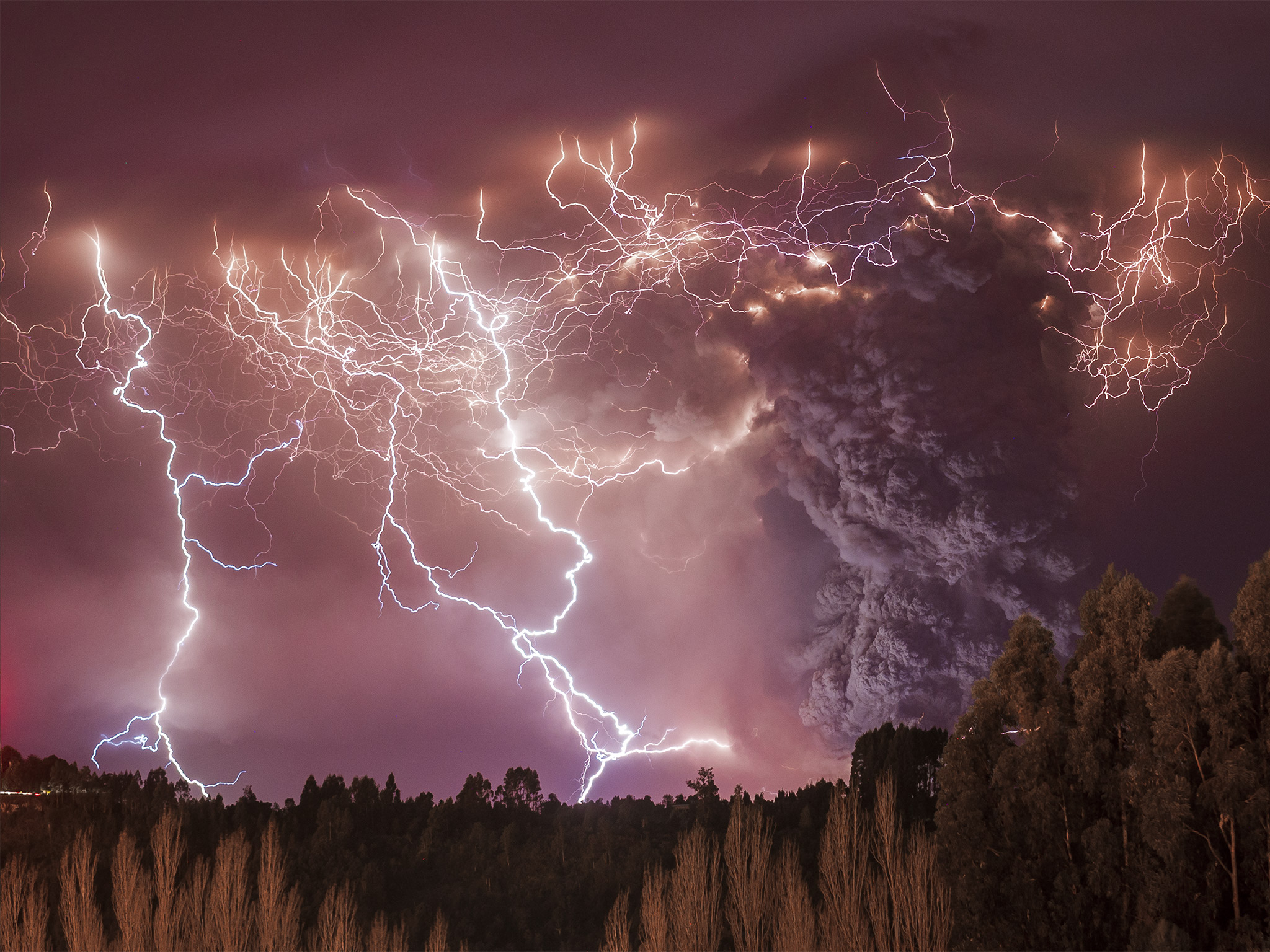 The 12 terrifying ways researchers…
