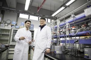 2D nitrogenated crystals new potential…