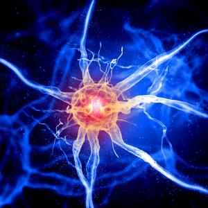 Protein mimic shows promise as…