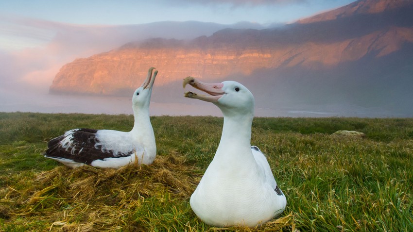 A Photographer Who Isn’t a…