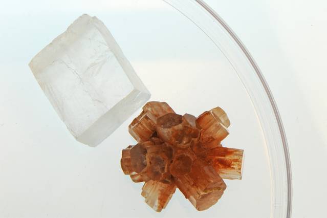 Mystery solved: Why seashells’ mineral…