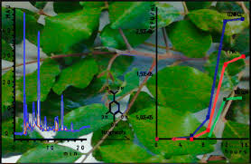Mechanobiology provides insight into disease…