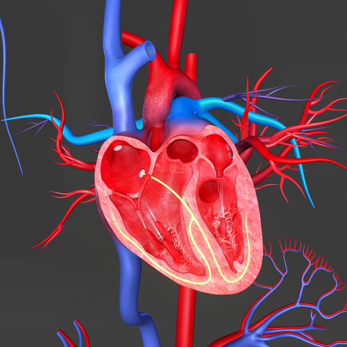 Studies Boost Hopes for New…
