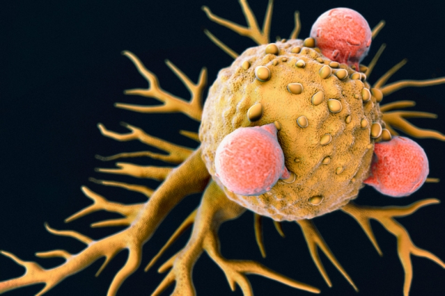Recruiting the entire immune system…