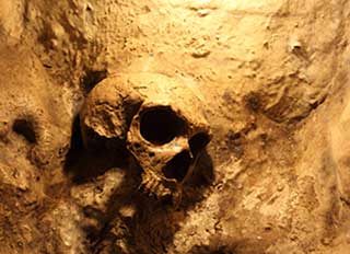 Oldest Ever DNA Sample from…