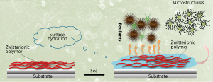 Smart micelles for marine environments