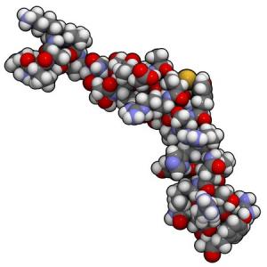Life-prolonging protein could inhibit ageing…