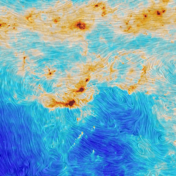 STAR FORMATION AND MAGNETIC TURBULENCE IN THE ORION MOLECULAR CLOUD