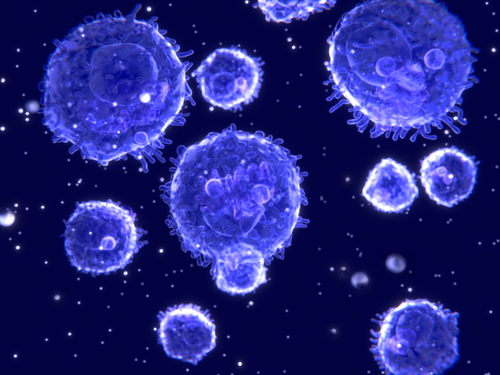 Injected T Cells from Bone…
