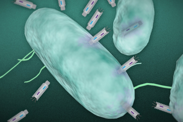 Researchers develop a new means…