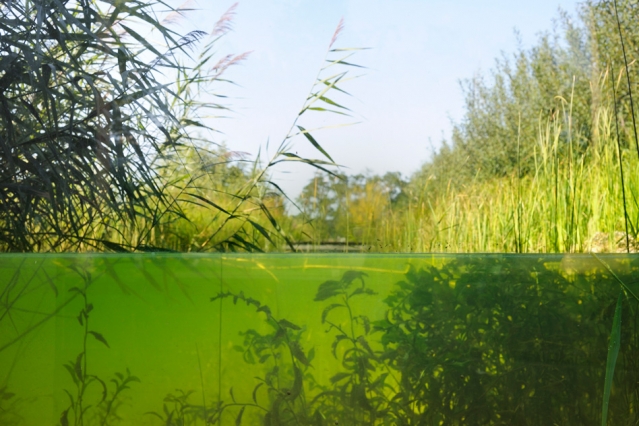 Predicting sediment flow in coastal…