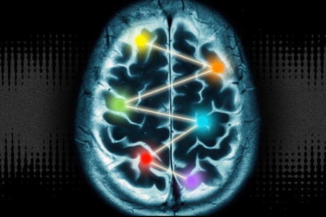 Uncovering a dynamic cortex