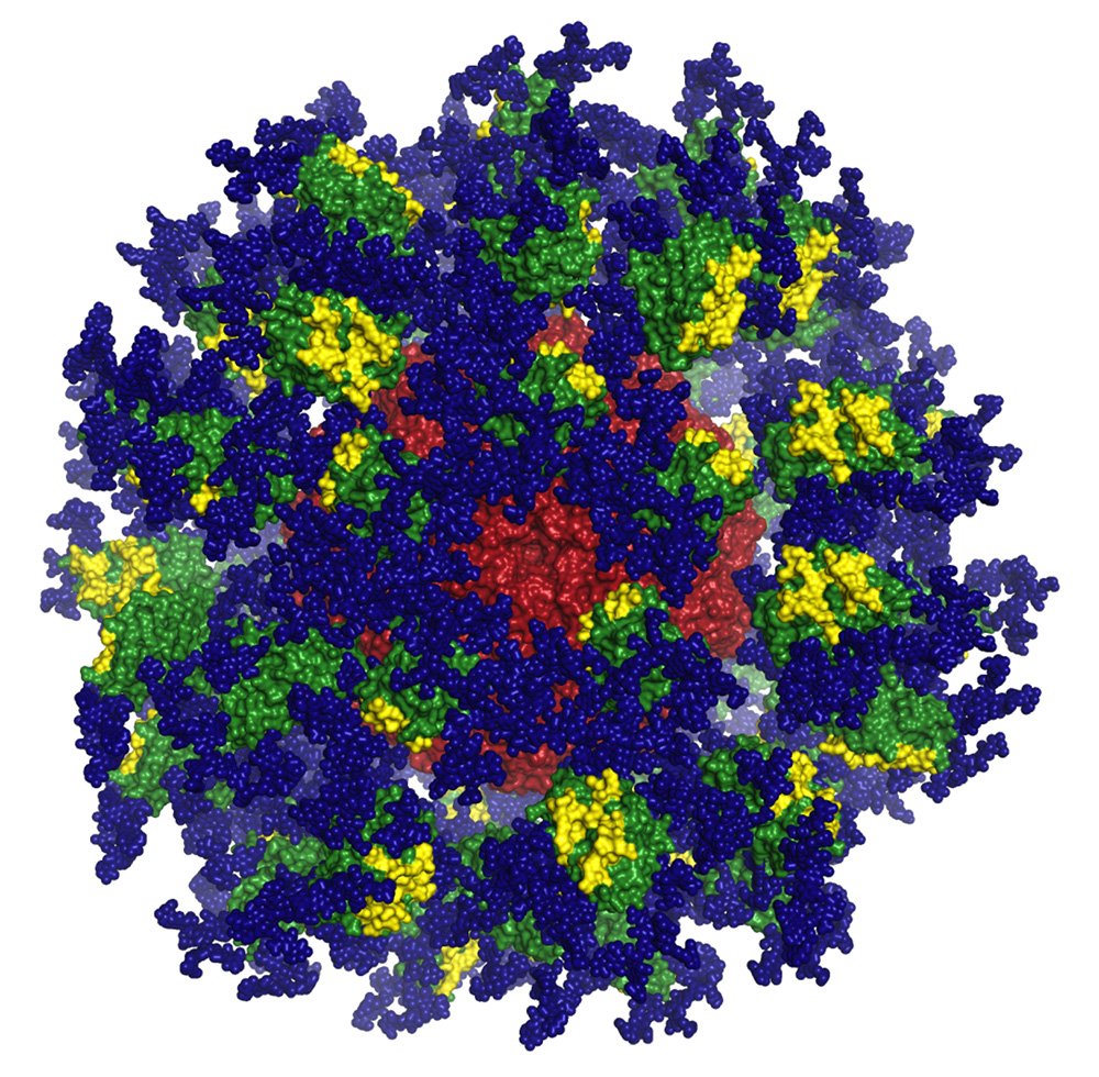 AIDS Vaccine Candidate Successfully ‘Primes’…