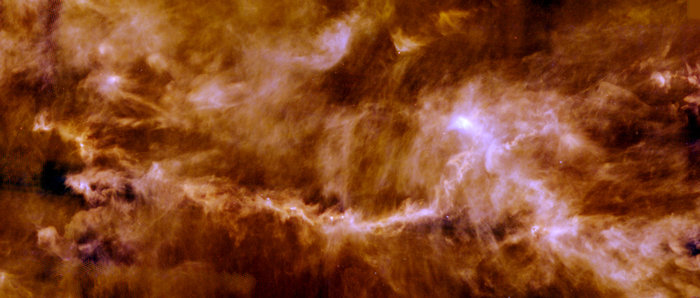STARS FORMING IN THE TAURUS MOLECULAR CLOUD