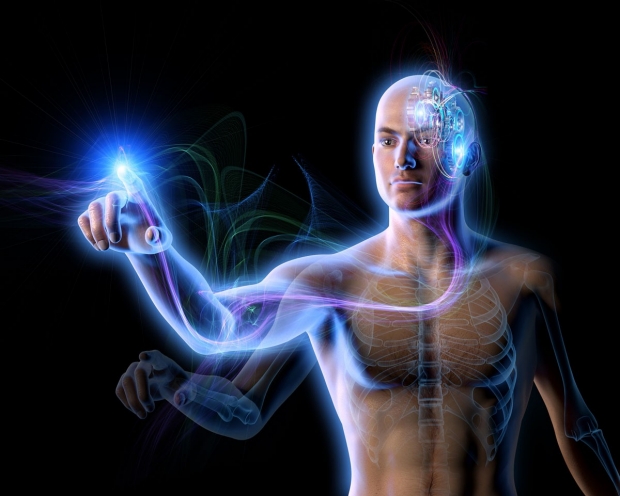 Research Sheds Light on How…