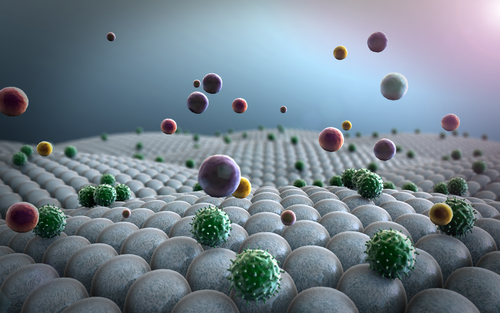 ‘Core’ Immune Cells Reduce Symptoms,…