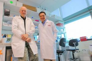Engineering a potential treatment for…