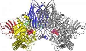 Mechanism of an enzyme for…