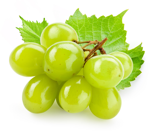 Grape Waste Could Make Competitive…