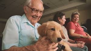 The Power of Puppies for…