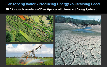 New grants foster research on food, energy and water: a linked system