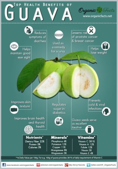 Health benefits of guava leaves