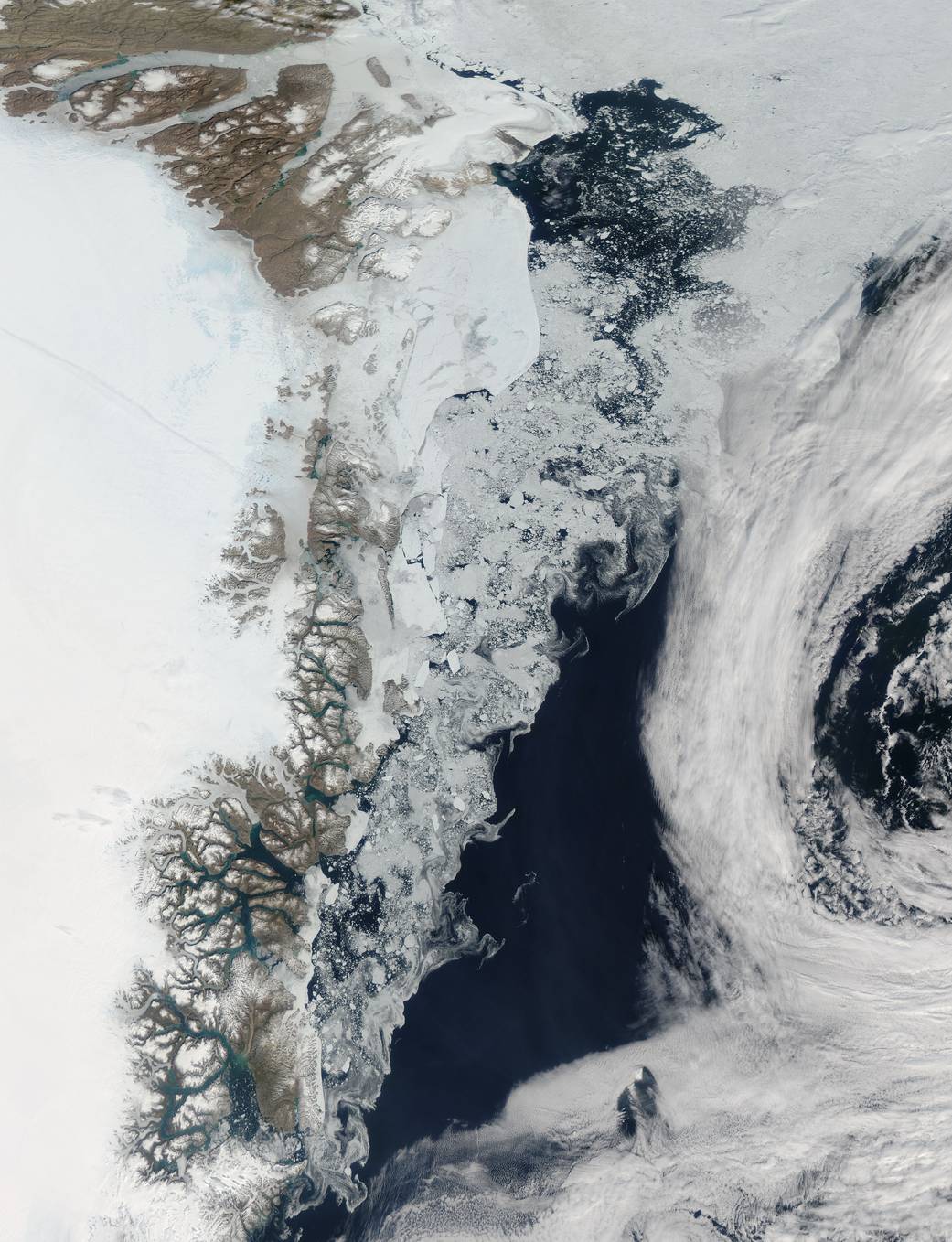 Sea Ice in the Greenland Sea