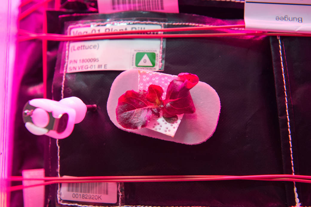 Testing Hardware for Growing Plants…