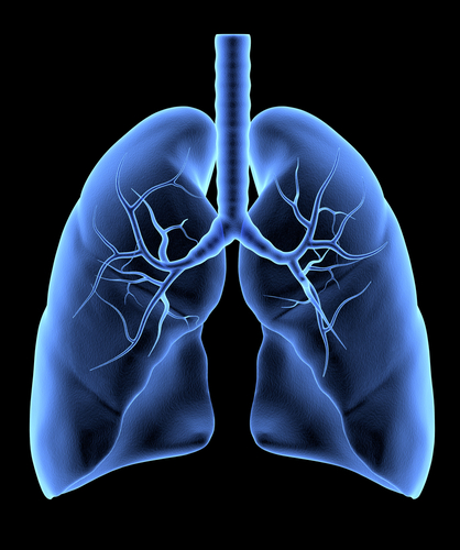 Nanoparticles Used to Breach Mucus…