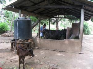 Mobile technology detects, prevents disease outbreaks in Sri Lanka