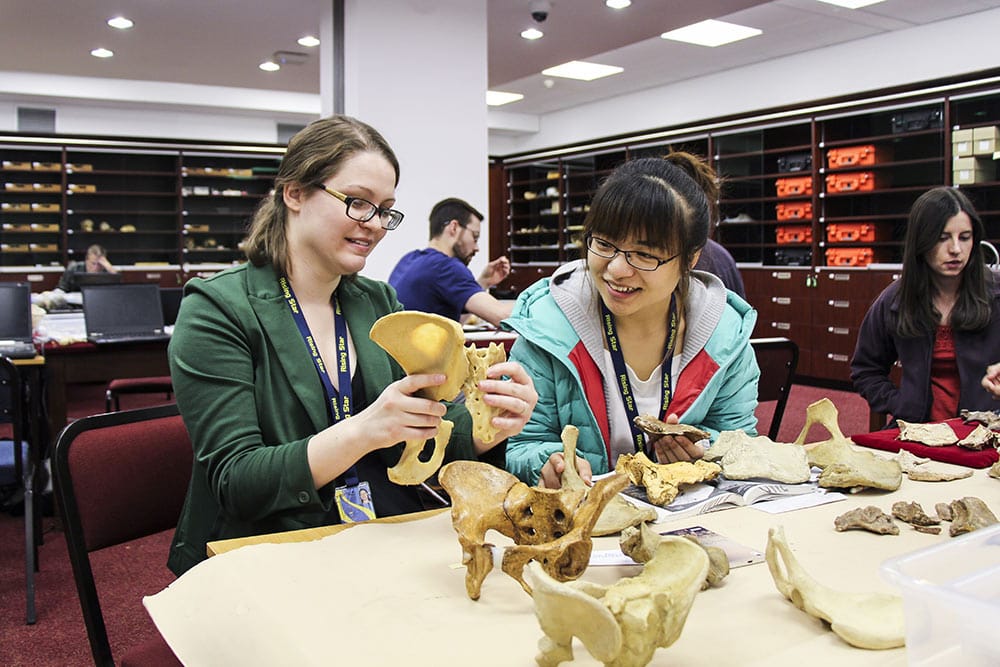 FOSSIL TROVE ADDS A NEW…