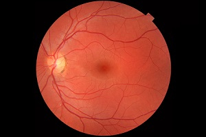 Scientists Move Closer to Curing…