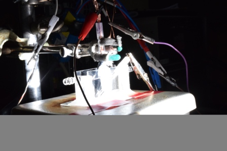 DISCOVERY OF A HIGHLY EFFICIENT…