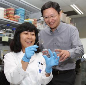 Recreating Embryonic Development “In A&hellip;