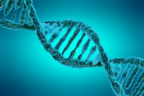 Now a Single Vaccine Could…