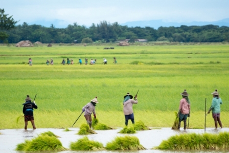 MIT Climate Agriculture 0