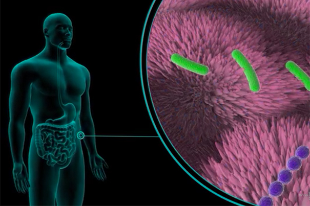 Microbiomes Could Hold Keys to&hellip;