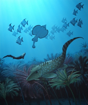 Dominance of Tiny Fish due…