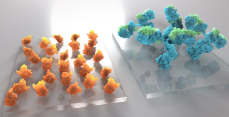 New Proteomics Tools to Open…
