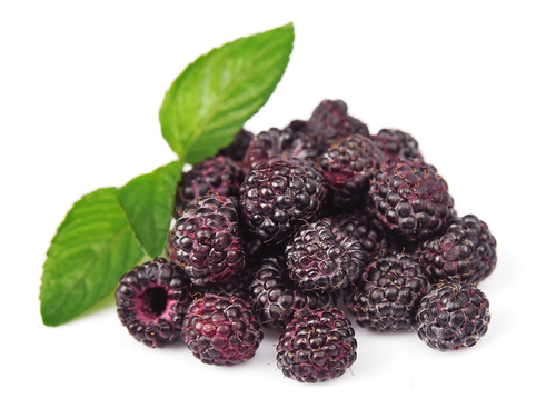 Black Raspberries-three times richer in antioxidants than othe beries